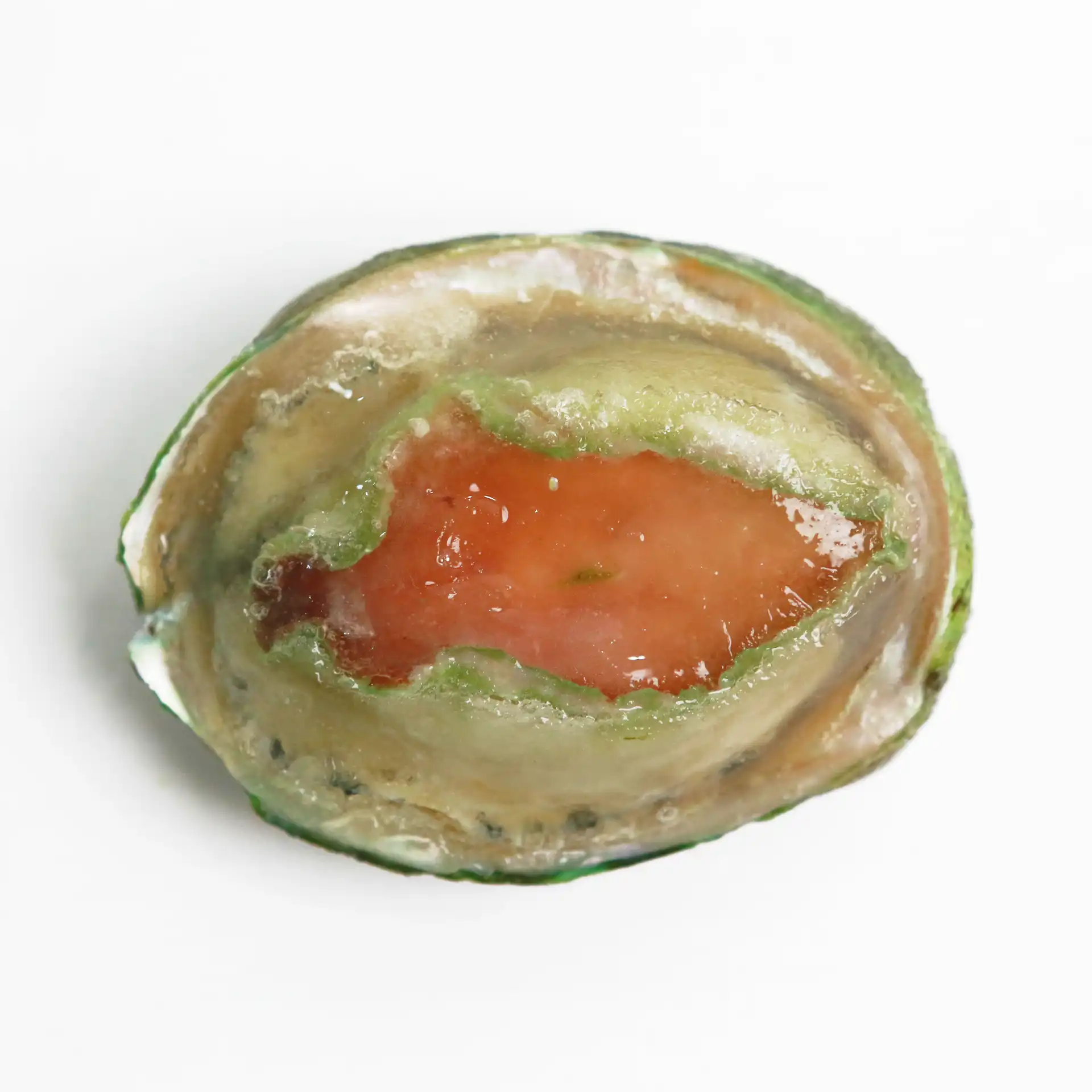 Bào Ngư Úc Viền Xanh | AUSTRALIAN ABALONE