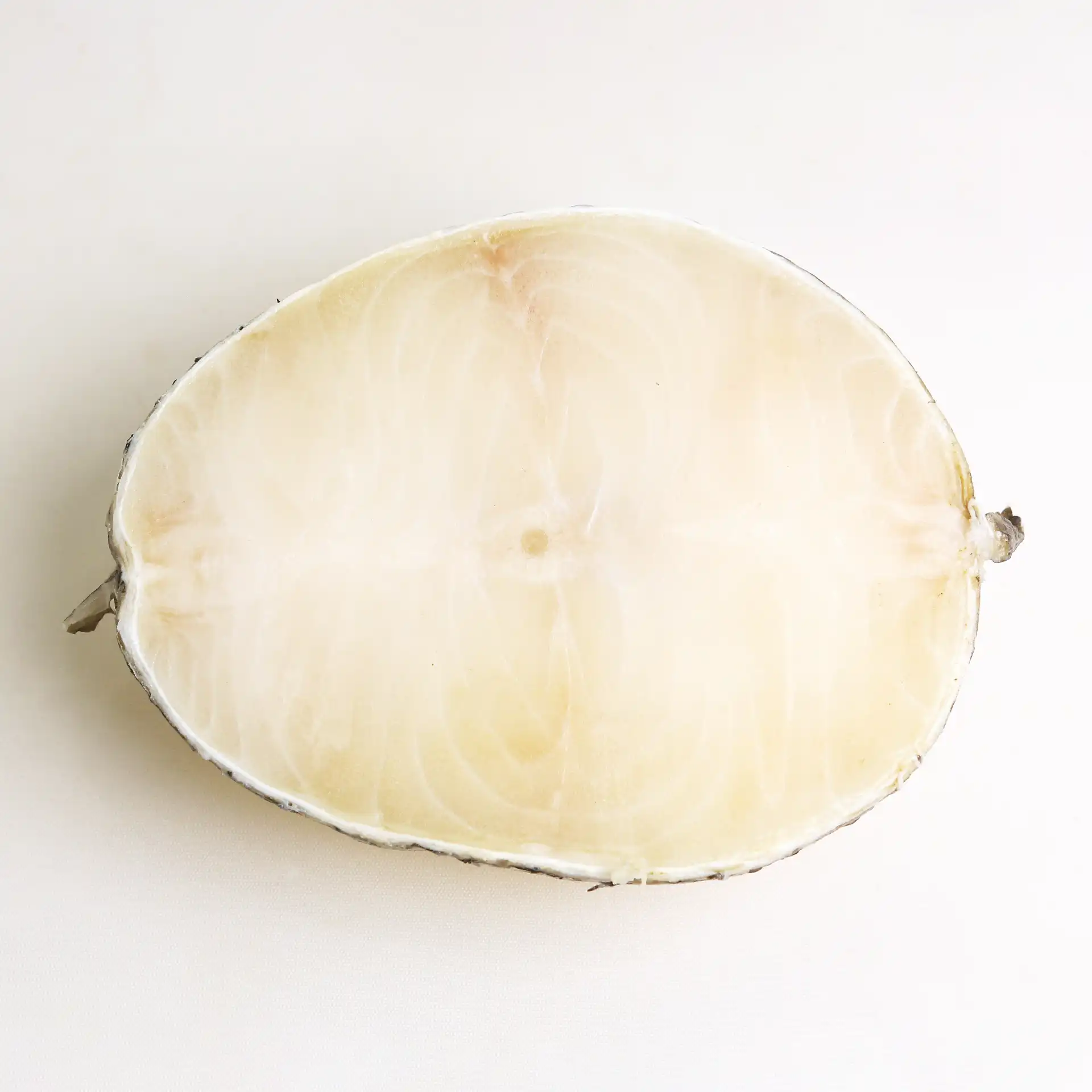 Cá Tuyết Cắt Lát | SLICED COD