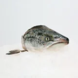 Đầu Cá Hồi Tươi | SALMON HEAD
