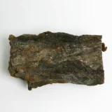 Phổ Tai | KOMBU