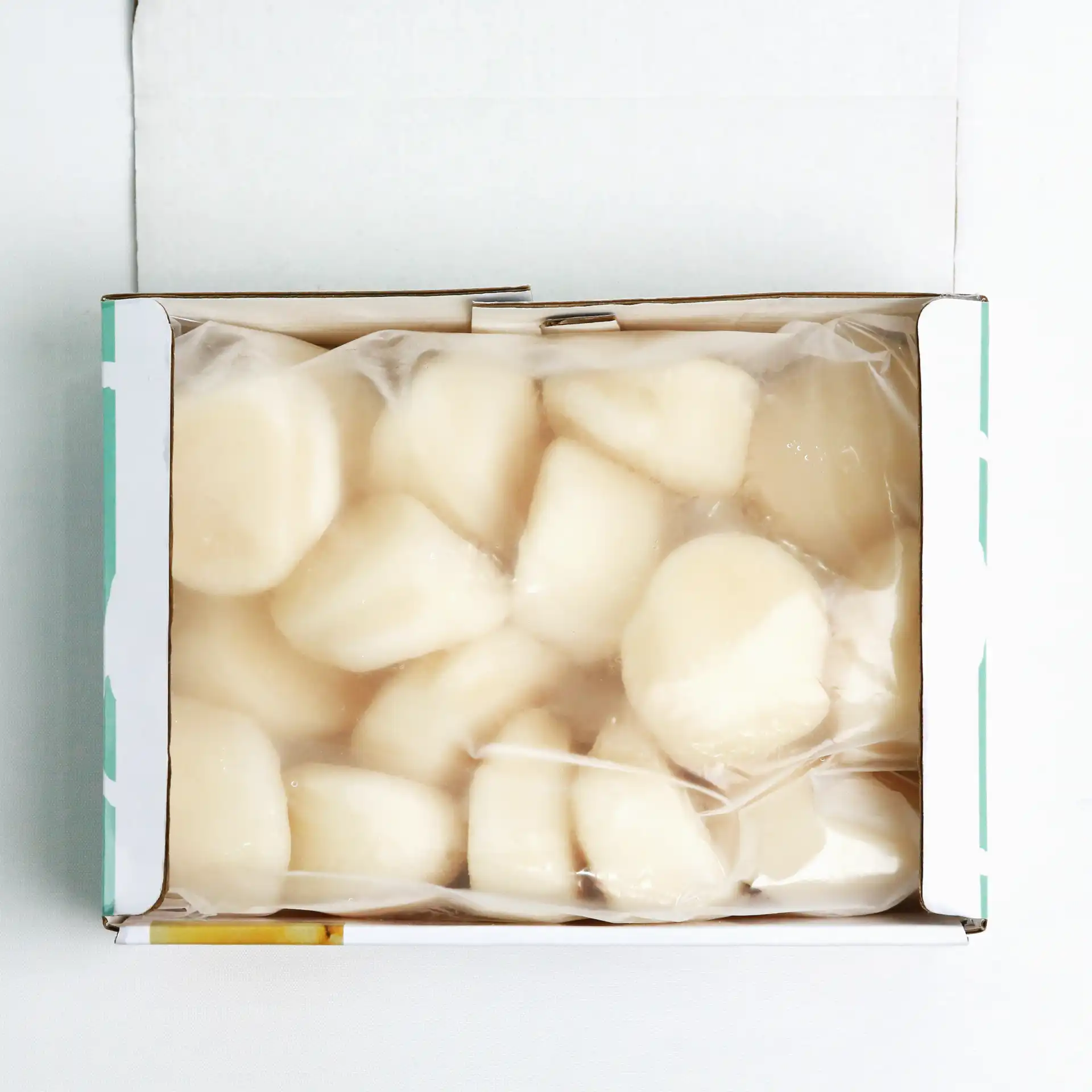 Cồi Sò Điệp size M | SCALLOP