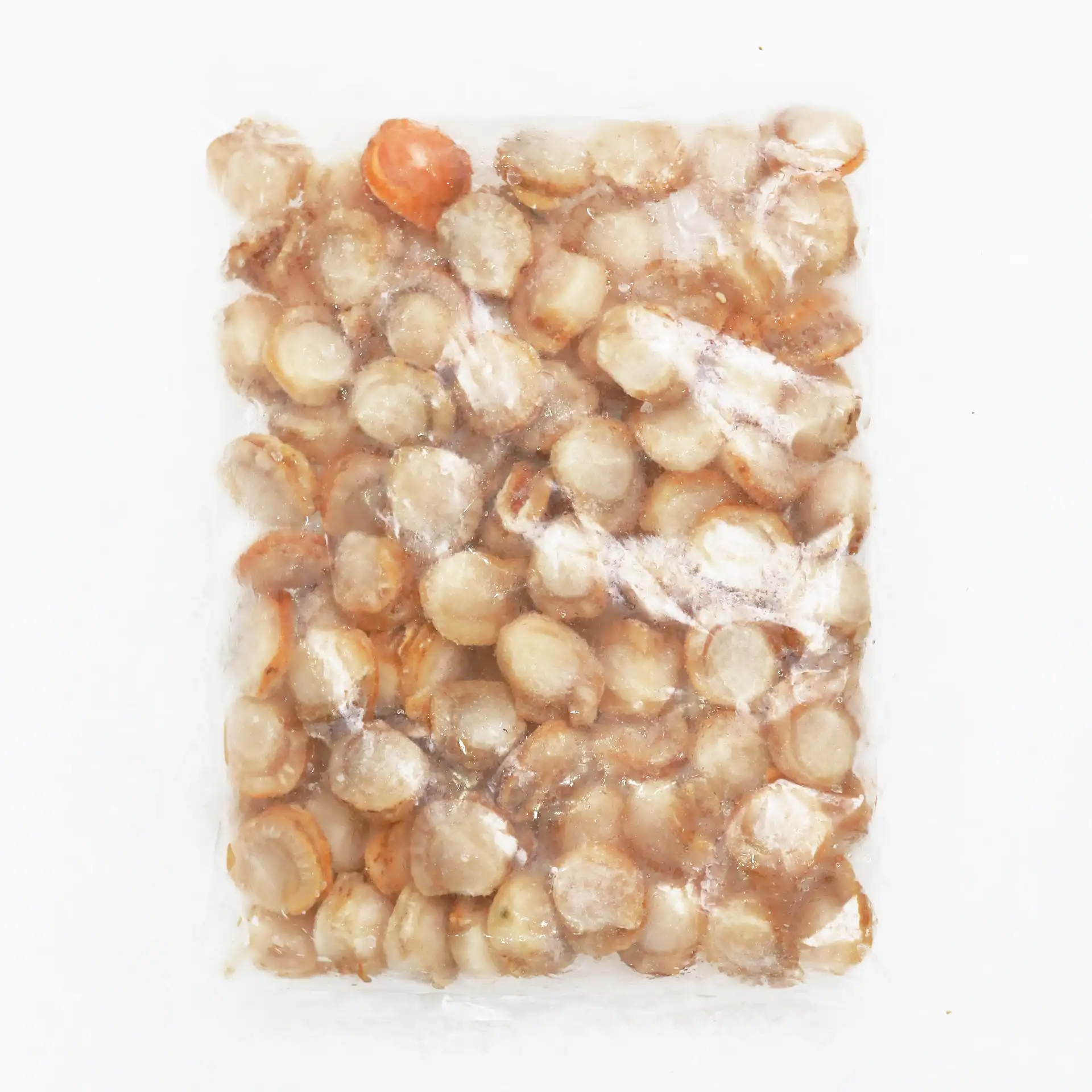 Sò Điệp Baby | BABY HOTATE