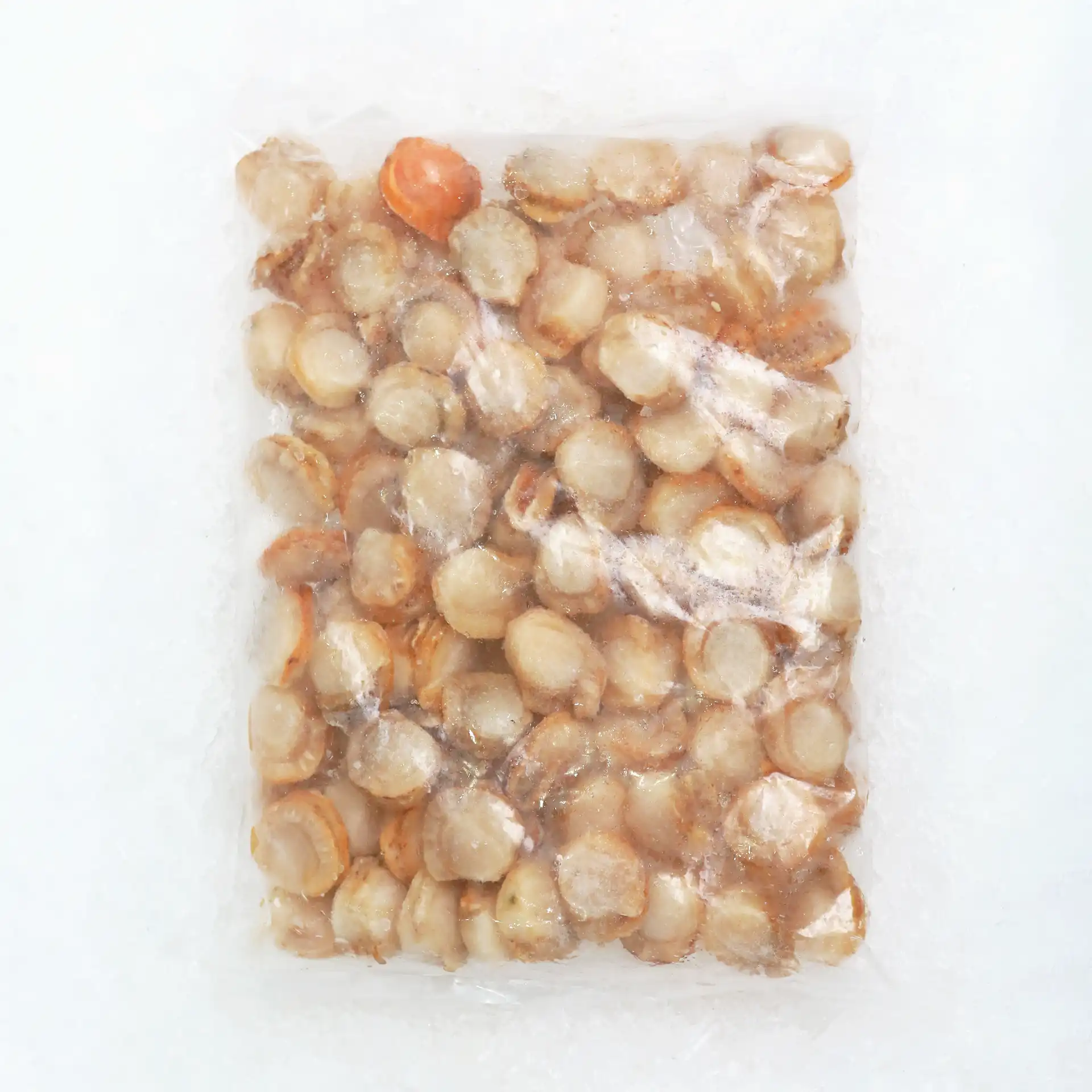 Sò Điệp Baby | BABY HOTATE