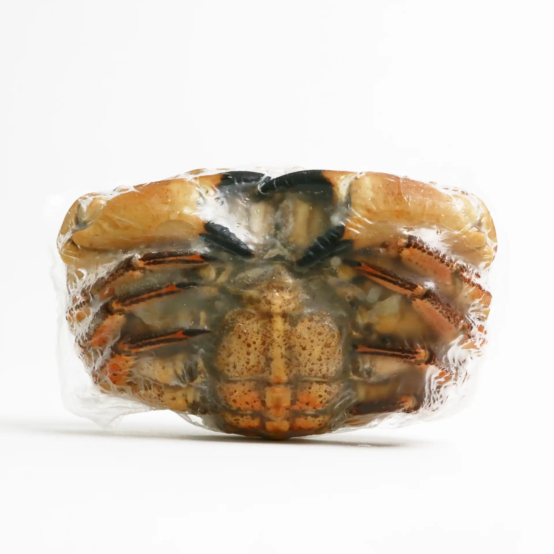 Cua Nâu Size L | FROZEN WHOLE BROWN CRAB