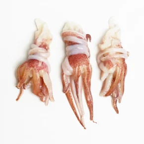 Đầu Mực | SQUID TENTACLES