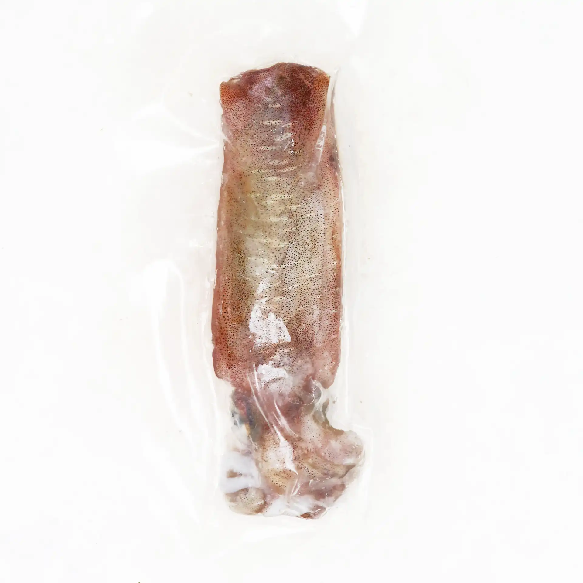Mực Lá | BROAD SQUID