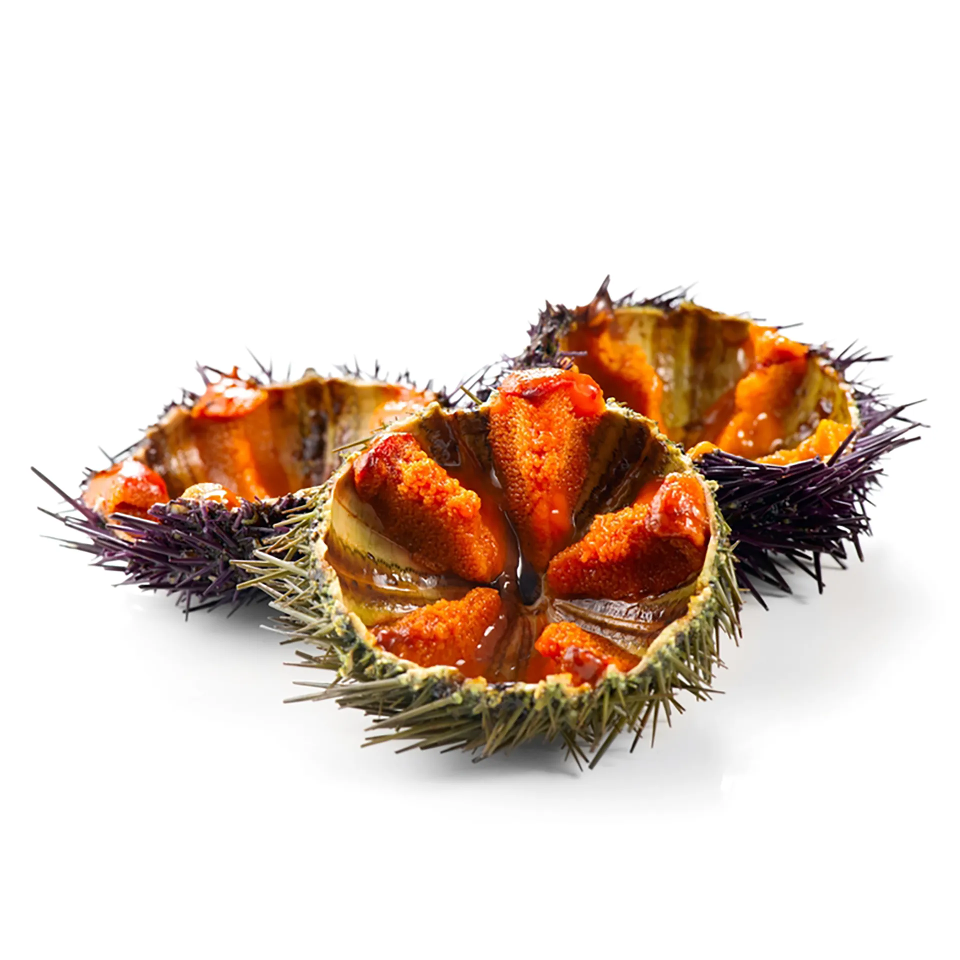 Trứng Nhum/Uni | SEA URCHIN ROE